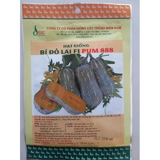 Hạt giống bí đỏ lai F1 Pum 888 (Gói 10 Gam)