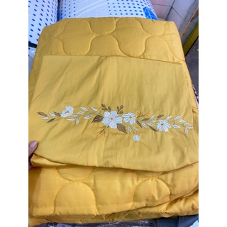Bộ Drap chun chần EVERON MDSC100