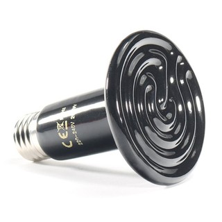 Đèn sưởi sứ cho thú cưng , bò sát 50w/100w
