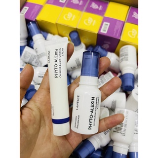 Bộ dưỡng ẩm, phục hồi da Laneige Phyto-Alexin Ampoule & Cream Kit