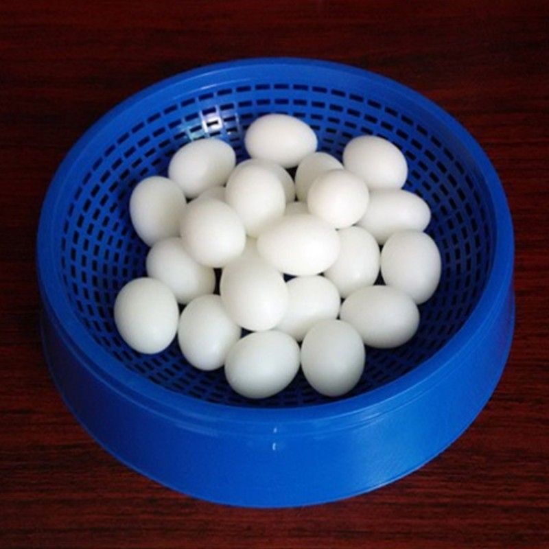 Combo 10 quả Trứng giả cho chim