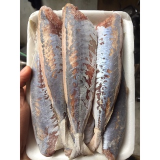 CÁ NỤC 1 NẮNG CHUẨN PHƠI