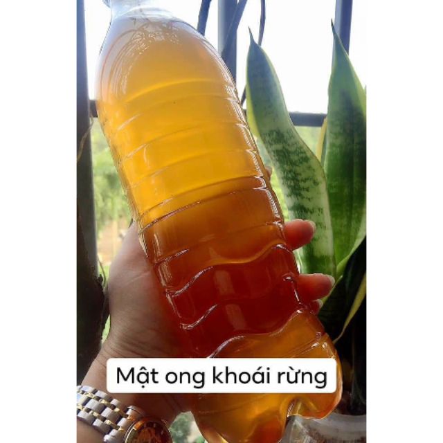 1 Lít Mật Ong Khoái Nguyên Chất - ĐỔI TRẢ NẾU KHÔNG HÀI LÒNG