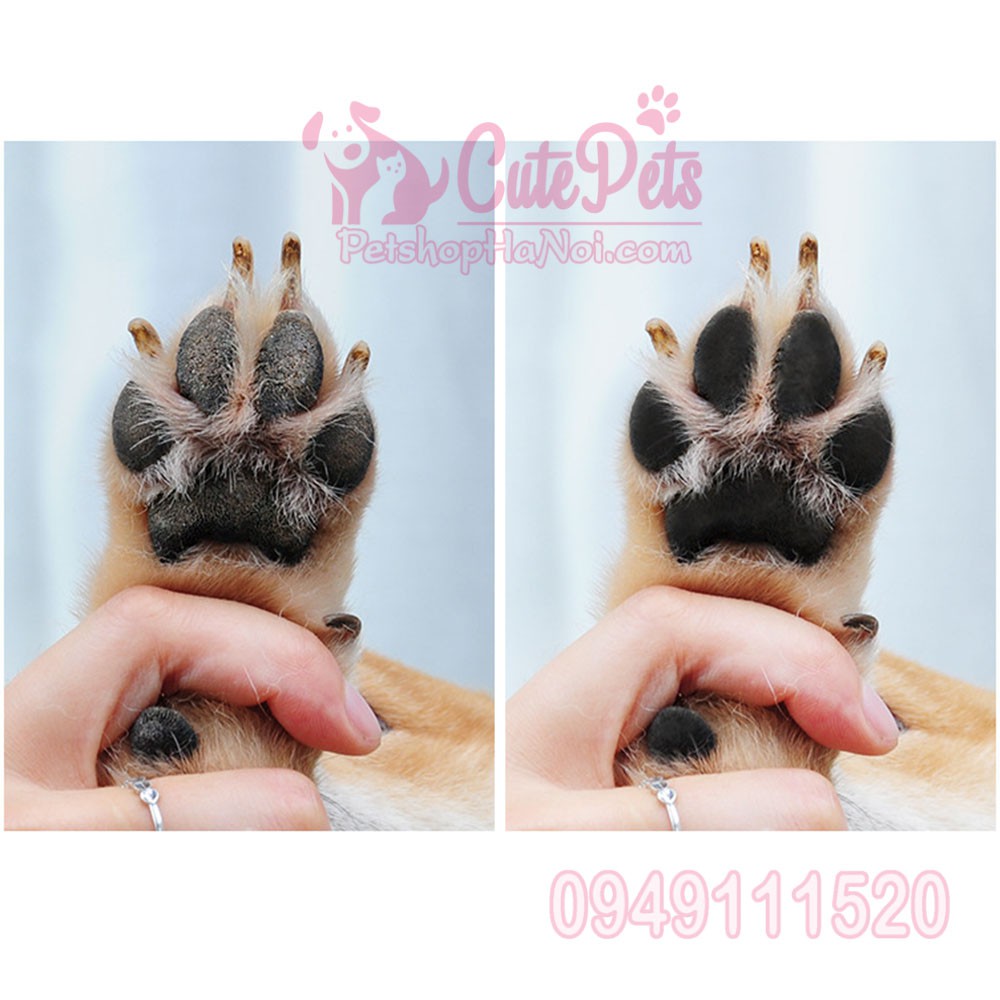 Cốc rửa chân cho chó mèo Soft Gentle - CutePets Phụ kiện thú cưng Pet shop Hà Nội