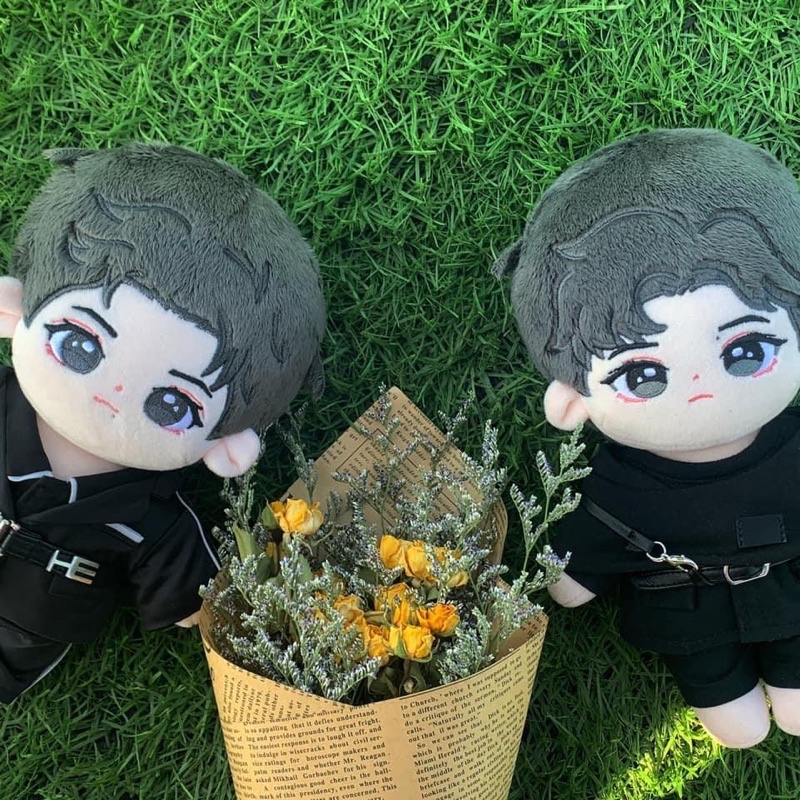Cặp búp bê 20cm doll Siêu Tuyệt Wang Yibo Vương Nhất Bác Xiao Zhan BJYX