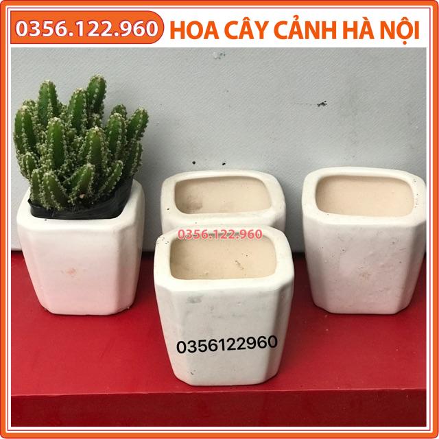 Chậu sứ vuông bát tràng màu trắng kt: 5cm