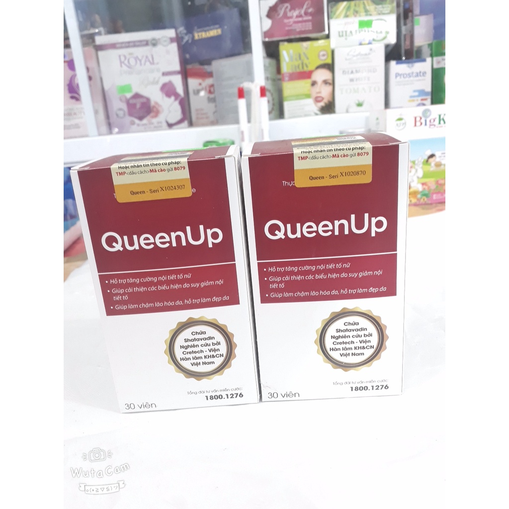 (CHÍNH HÃNG TÍCH ĐIỂM) Viên uống QUEENUP, giúp tăng cường nội tiết tố, làm chậm lão hóa, giảm sạm, nám da và làm đẹp da