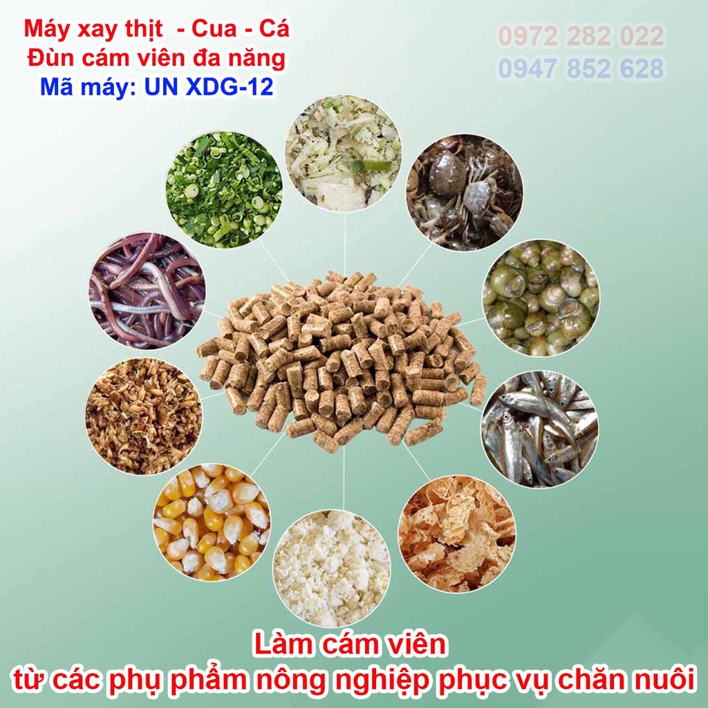 Máy xay thịt - Xay Cua - Xay Cá -  Xay xương - Đùn cám đa năng Cối 10
