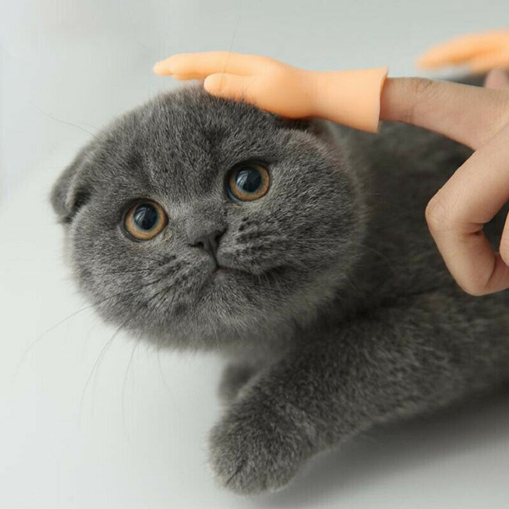 Set 2 Găng Tay Ngón Chân Nhân Tạo Chơi Khăm Bằng Silicone Cho Thú Cưng