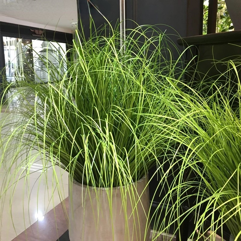 Nhánh Cây Giả Dùng Trang Trí Ban Công / Phòng Ngủ