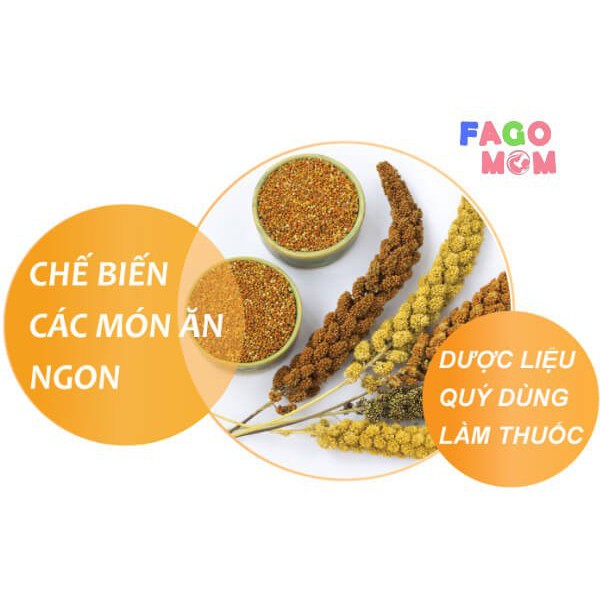 [ Tiêu Chuẩn Vietgap ] Kê Nếp Nghệ An, Kê Nếp Vàng Tách Vỏ Chỉ 39k 500gr - Hạt Dinh Dưỡng Xanh Shop