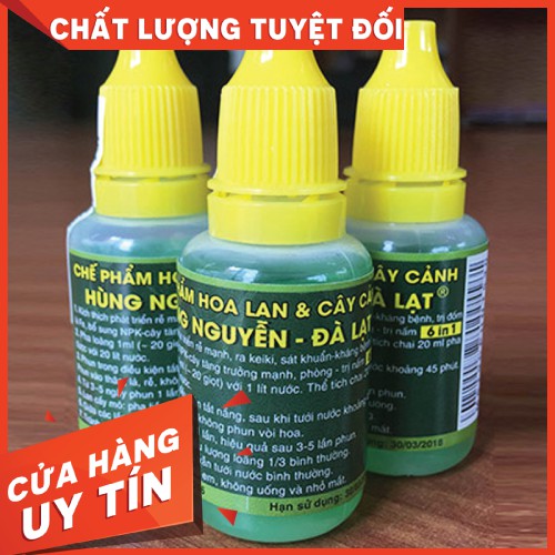 Chế phẩm hoa Lan cây cảnh - Hùng Nguyễn Siêu kích rễ - Ra kie - Sát khuẩn