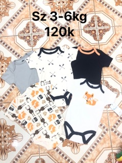 Combo 5b body chip suit cộc tay