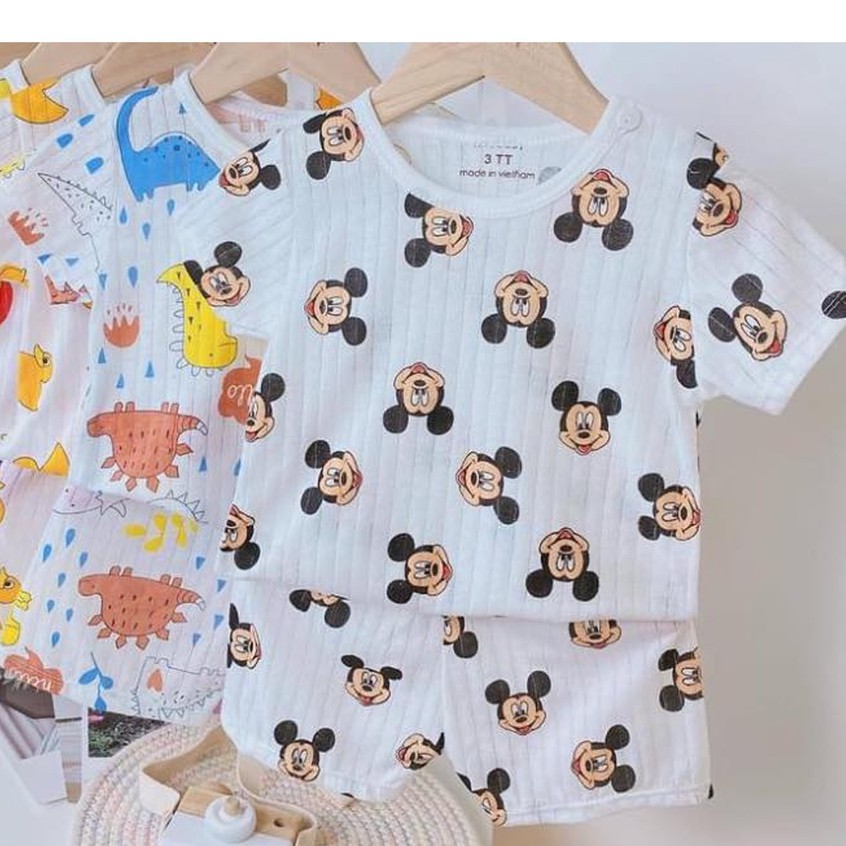 Bộ Cộc Tay COTTON GIẤY QUẢNG CHÂU Cao Cấp Cho Bé - Quần Áo Cho Bé Trai Bé Gái Sơ Sinh 4-14KG