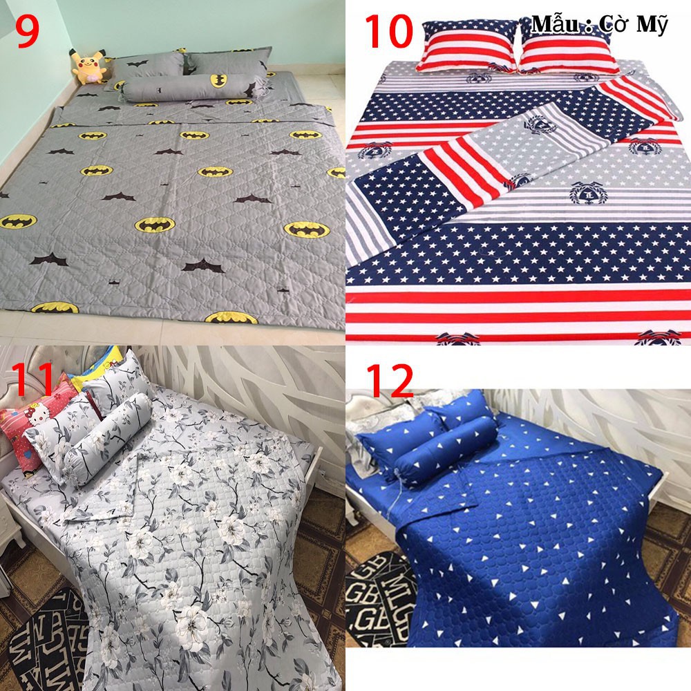 Bộ ga gối cotton poly nhiều mẫu ( ib chọn mẫu)