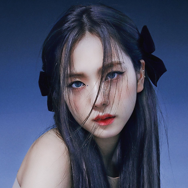 1 Cặp Kẹp Tóc Hình Nơ Vintage Dễ Thương Cho Nữ