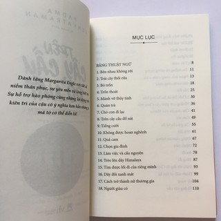Sách – Trên Cây Cầu Đổ Nát (Padma Venkatraman)