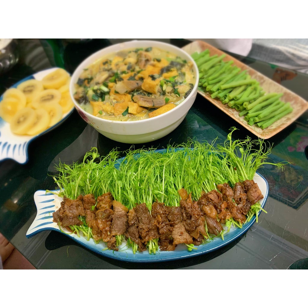 Hạt Giống Rau Mầm Đậu Hà Lan