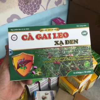 Bổ gan cà gai leo Xạ đen Giúp mát gan lợi mật tăng cường chức năng gan