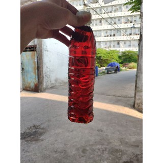 Mai quế lộ làm bánh lạp xưởng 480ml