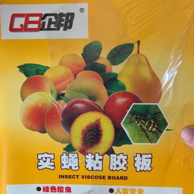 SET 10 BẪY DÍNH RUỒI VÀNG