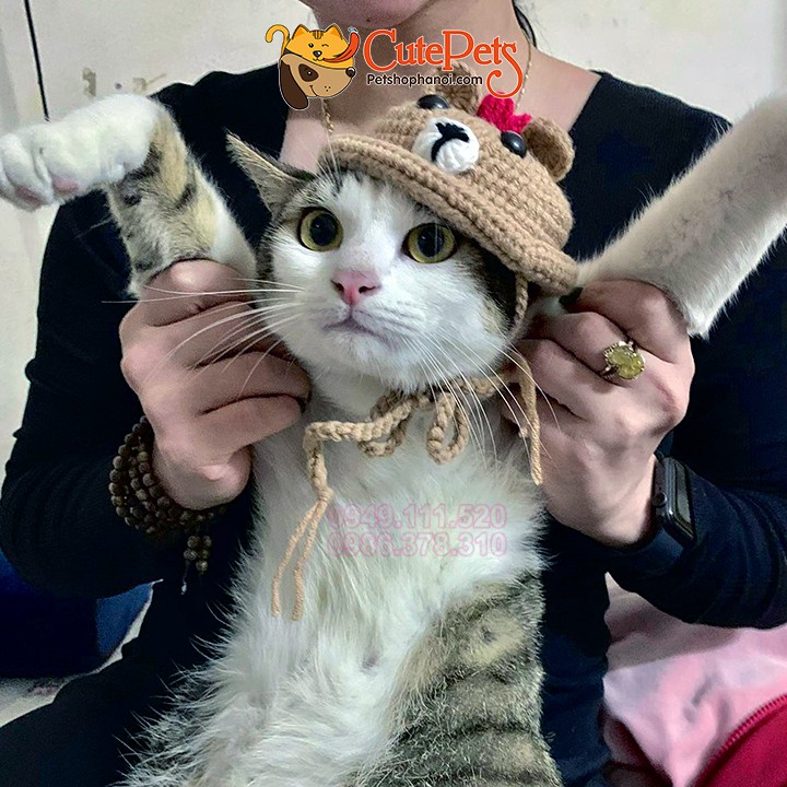 Mũ len đan tay Handmade cho chó mèo - Có nhận đặt theo yêu cầu - Cutepets