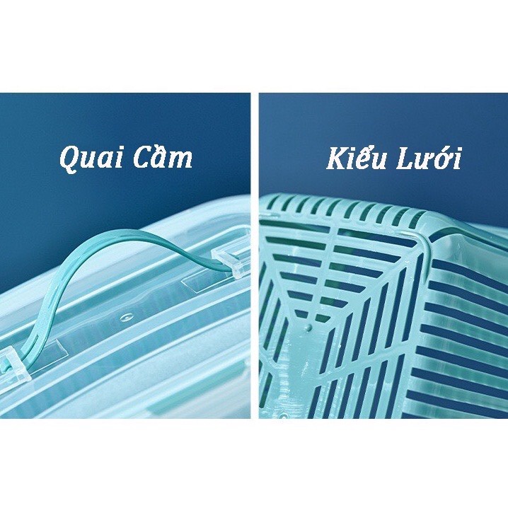 Bộ 5 hộp đựng thực phẩm tách nước cao cấp, hộp bảo quản rau củ để tủ lạnh, hộp nhựa đa năng