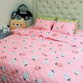 Bộ chăn ga gối cotton trần bông