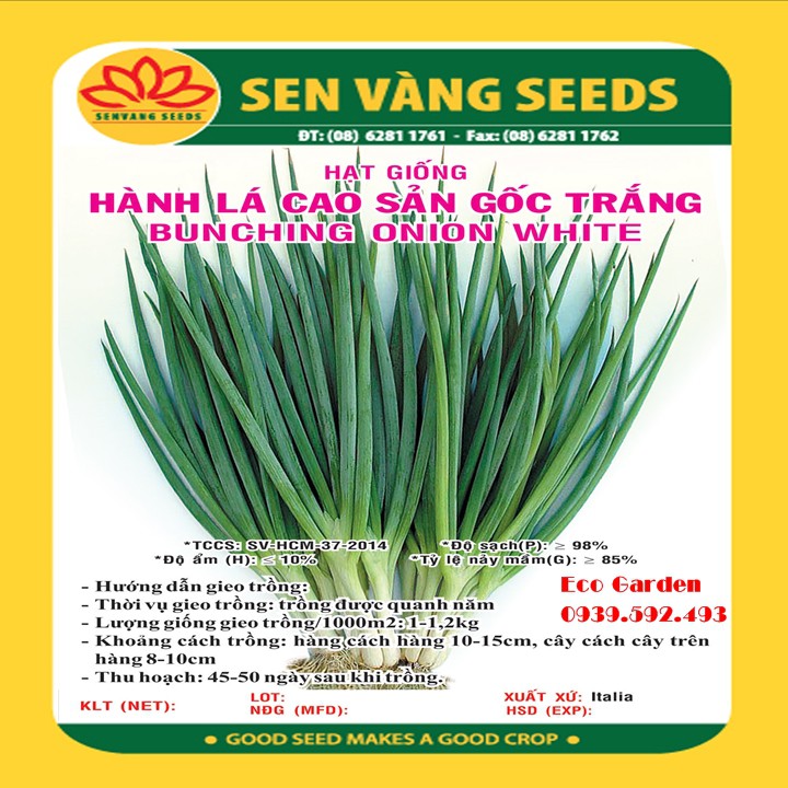 Hạt Giống Hành Lá Cao Sản Gốc Trắng - 2GR