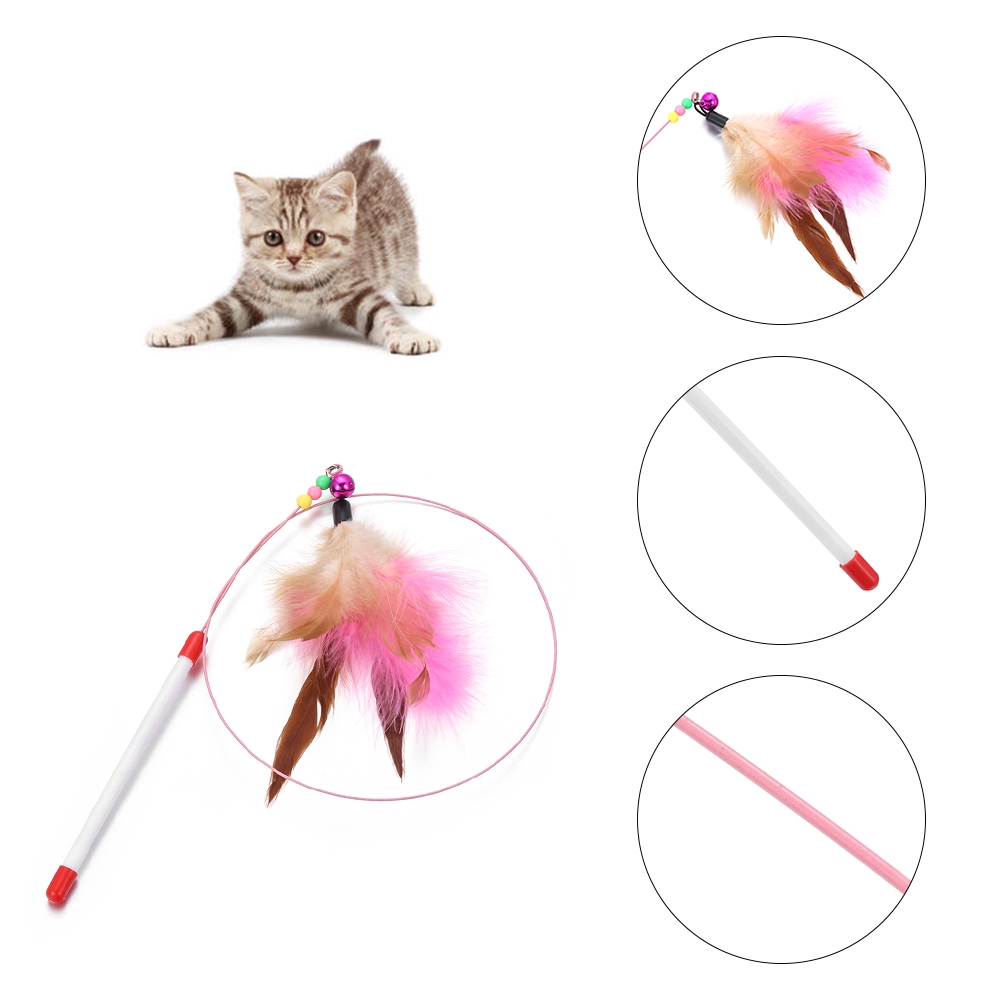 Đồ chơi tương tác thú vị dành cho mèo