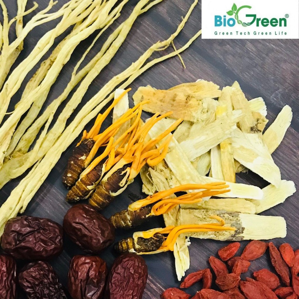 Đông Trùng Hạ Thảo Ký Chủ Nhộng Tằm Biogreen Ngâm Rượu