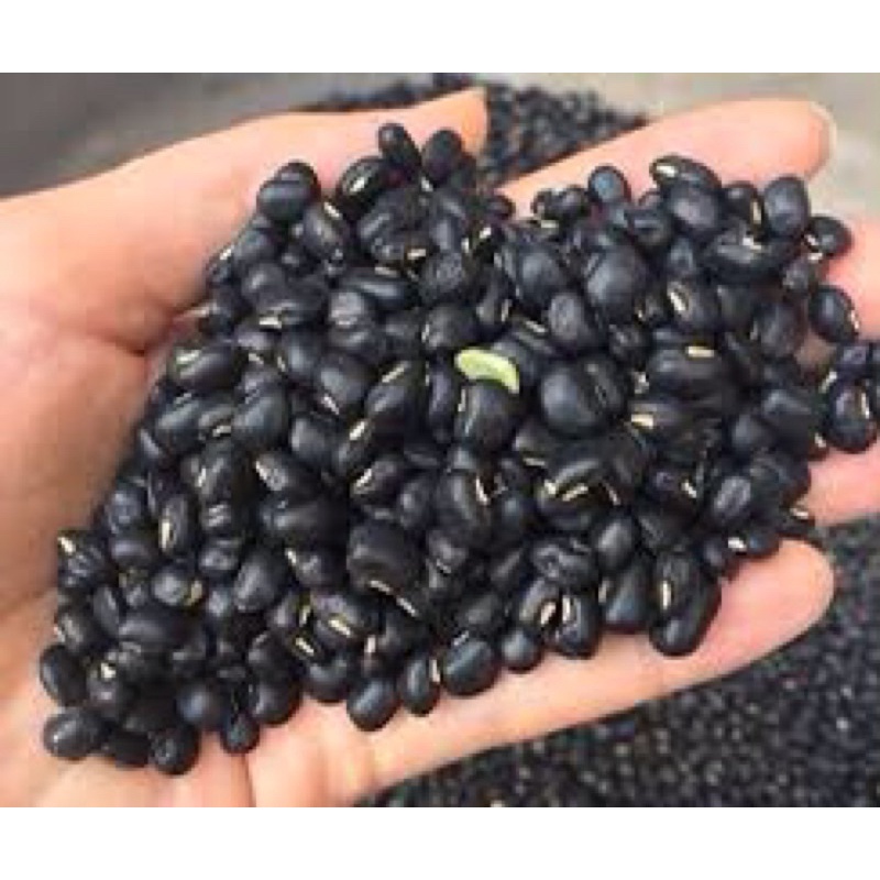 ĐỖ ĐEN XANH LÒNG-đậu đen thuần chủng SẠCH nhà trồng không hoá chất