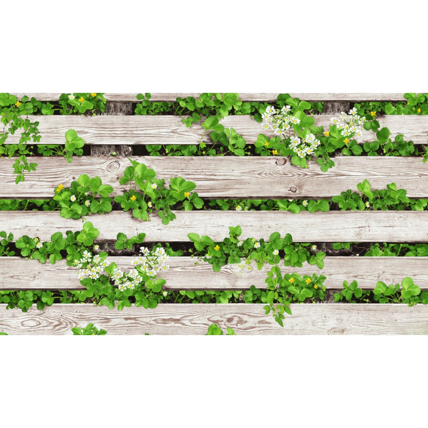 Giấy Dán Tường Hàn Quốc 3D Hoa Dây Leo Lụa Không Keo Khổ 1.06 x 15.6m