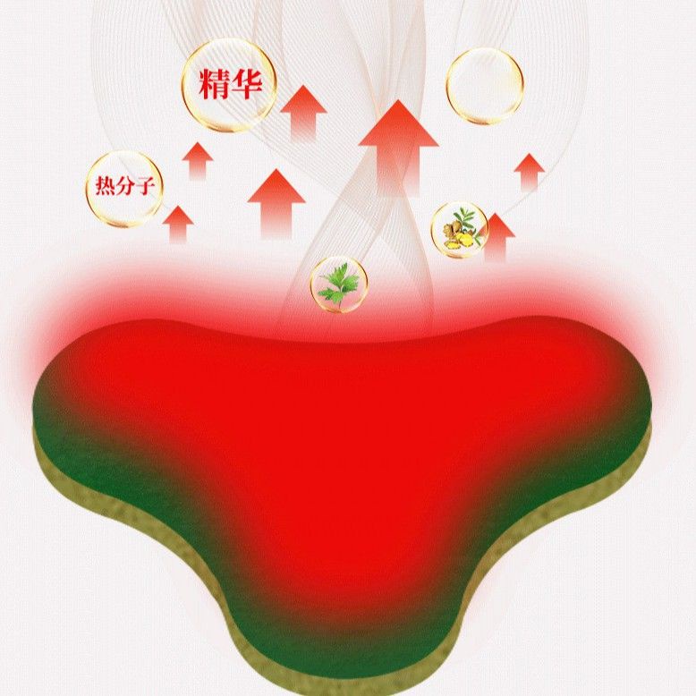 [XÃ KHO] HỘP 12 MIẾNG DÁN VAI, THẮT LƯNG, ĐẦU GỐI [HCM]