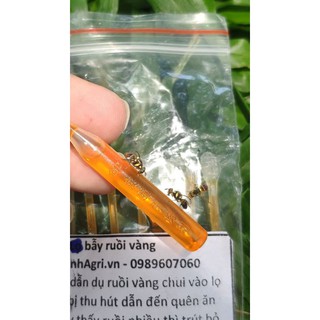 1 ống thuốc dẫn dụ ruồi vàng 2ml