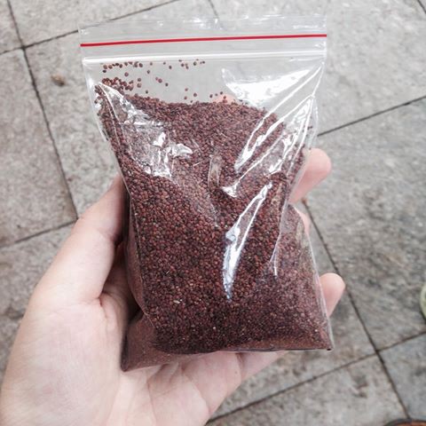 Hạt Ngũ Hoa  - Handmade