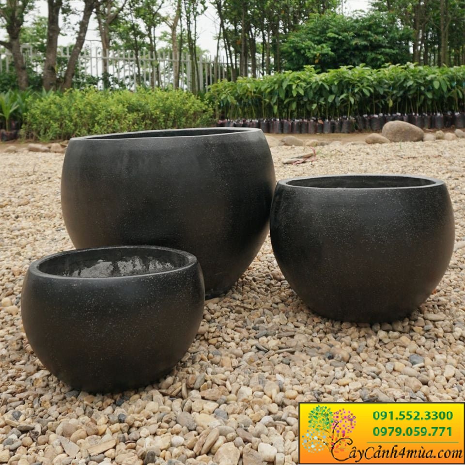 Chậu Đá Mài Hình Trứng Thấp