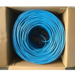 dây mangj AMPP CAT 6