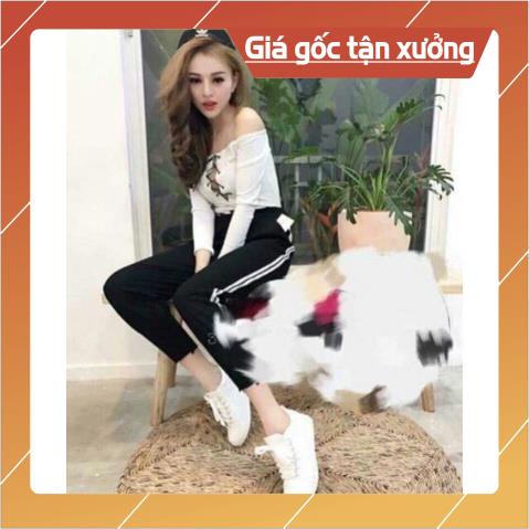 Store 197 Quần kaki 2 sọc nữ hinh thạt ở cuối Store 197