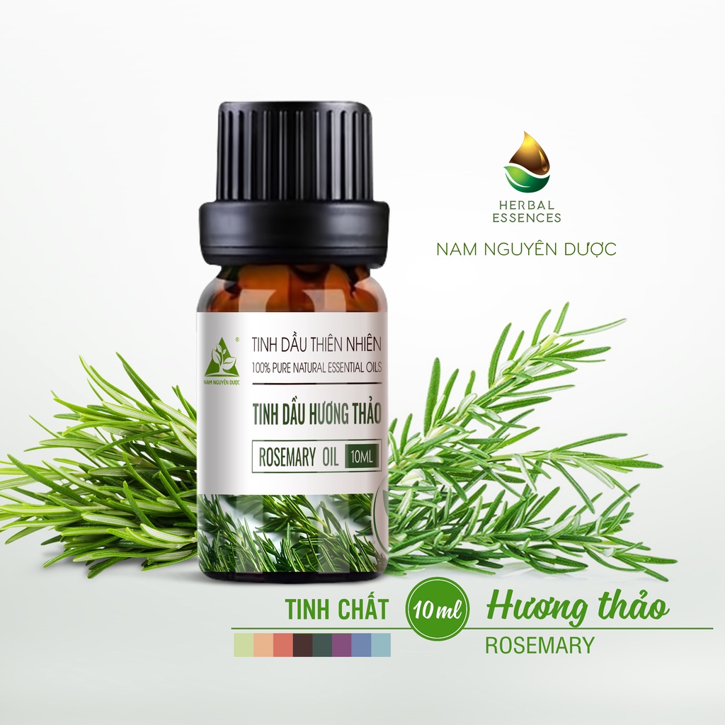 Tinh dầu Hương thảo nguyên chất - Rosemary Essential (10ml) NAM NGUYÊN DƯỢC