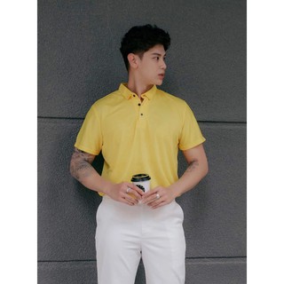 Áo thun Polo Việt (Có cổ)