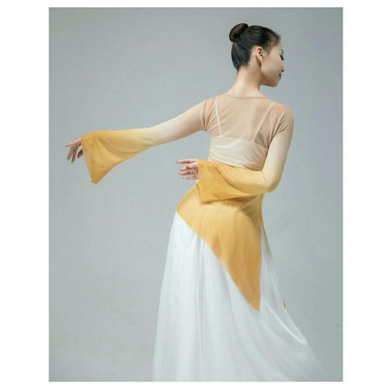 Áo lưới xẻ tà múa cổ trang Trung Quốc A91 Diễm Phương | BigBuy360 - bigbuy360.vn