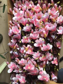 Cành Mộc Lan cổ 60cm