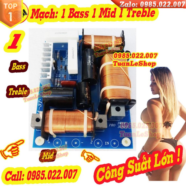 MẠCH PHÂN TẦN PA3T - GIÁ 1 MẠCH - MẠCH CÔNG SUẤT LỚN PA 3T