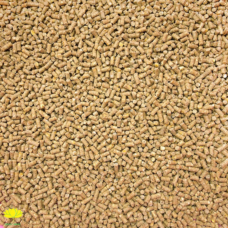 1 bao 25kg Thức ăn hỗn hợp dạng viên cho gà, chim 1-14 ngày tuổi (cám già con)