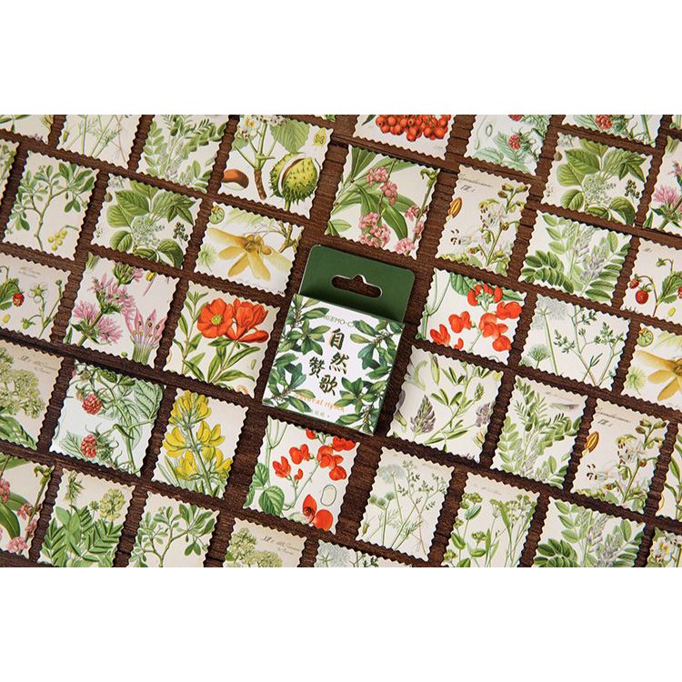 Bộ 45 Sticker Hoa Lá Hàn Quốc dán trang trí E45