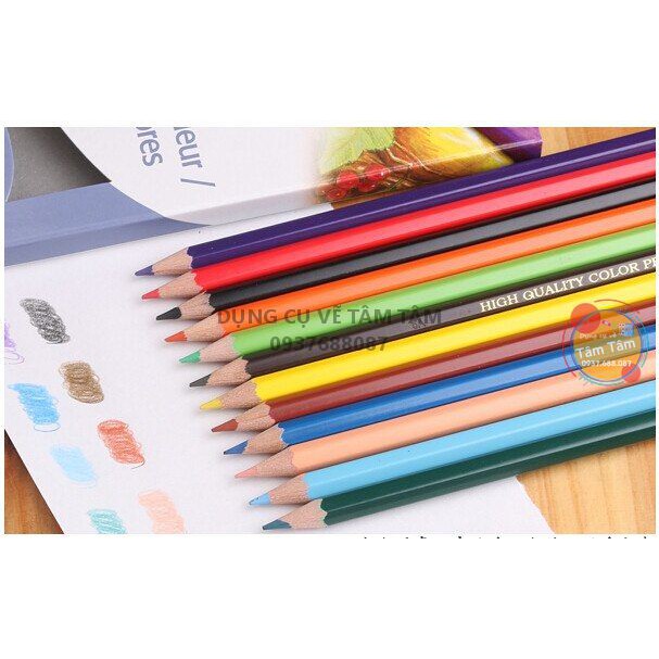[ TÂM TÂM ]-Chì màu khô Pentel,  Pentel Pencil color-