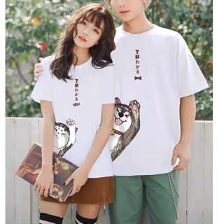 Áo thun mèo lấp ló - TR