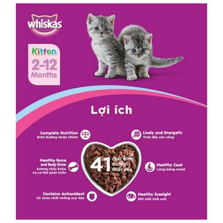5 Gói Pate cho mèo con Whiskas Junior 80Gram