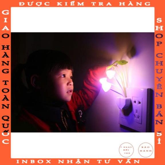 Đèn Ngủ Led Cảm Biến Ánh Sáng Hình Nấm - Đèn Ngủ Cảm Ứng Kiểu Dáng Hình Nấm Sáng Tạo wsally